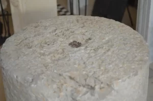 Feuerstein / Barbecue / Grill